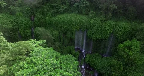 Waterfall with green tree forest view from above Stock Footage 164563827