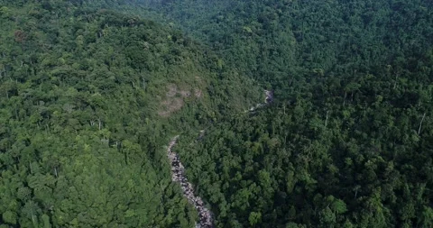 Waterfall in green tree tropical rainforest with mountain aerial view Stock Footage 134450274