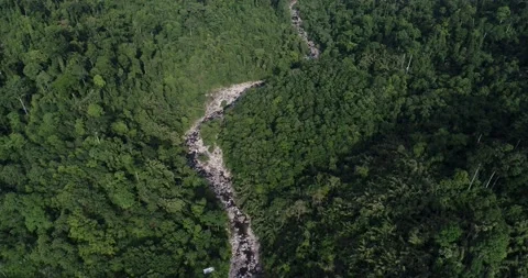 Waterfall in green tree tropical rainforest with mountain Stock Footage 134450335