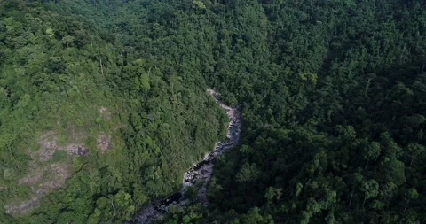 Waterfall in green tree tropical rainforest with mountain Stock Footage 134450411