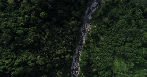 Waterfall in green tree tropical rainforest with mountain aerial view Stock Footage 134450422