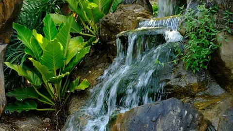 Waterfall with green trees in the garden Stock Footage 105958342