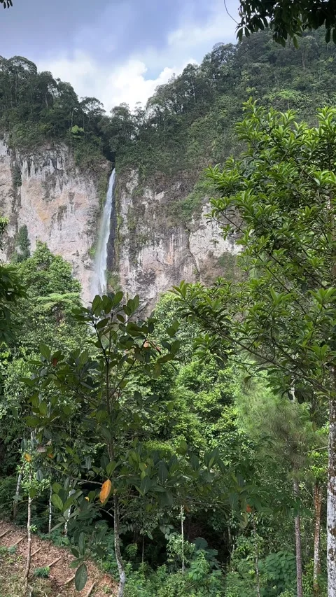 Waterfall in Green Tropical Forest with Cliffs and Trees Vertical Pan Stock-Footage 323915191