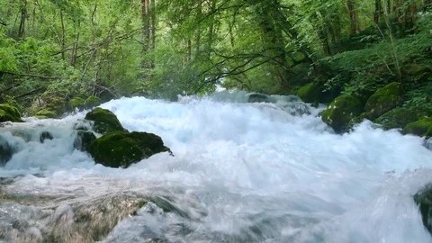 Waterfall in in green woods Stock Footage 108672523
