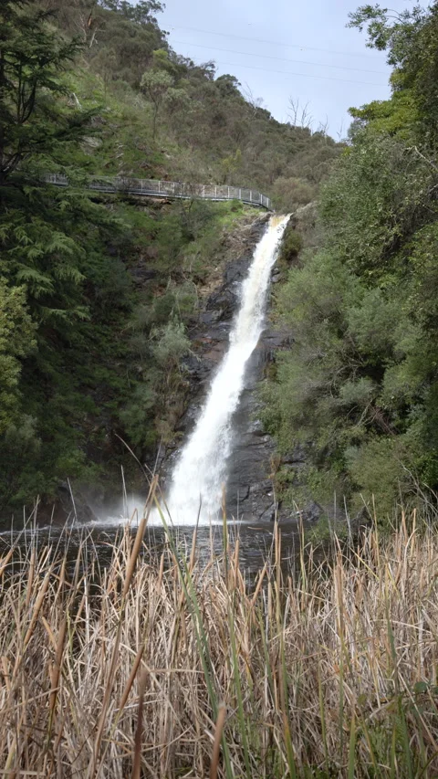 Waterfall Gully Falls viewed from below – Vertical 4K Stock Footage 340540176