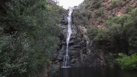 Waterfall Gully Video stock 254315430