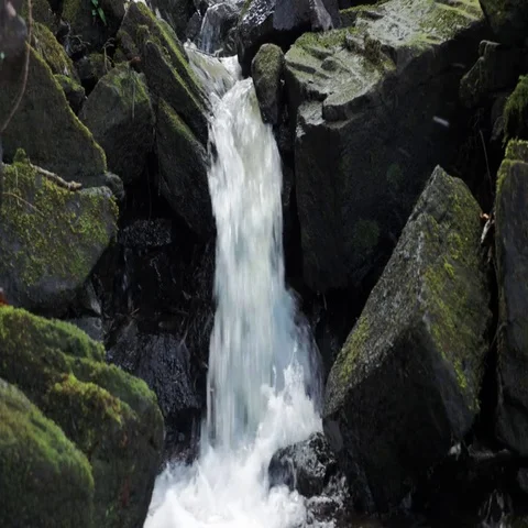 Waterfall gushes over large moss covered boulders Stock Footage 69523537