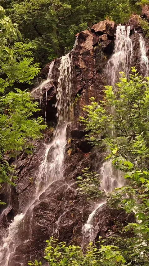 Waterfall in Harz Germany surrounded by forest Stock Footage 340270422