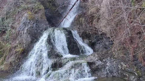 Waterfall at hatchery Stock Footage 174540804