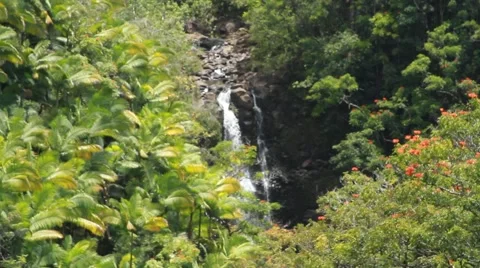 Waterfall in Hawaii Video stock 44877244