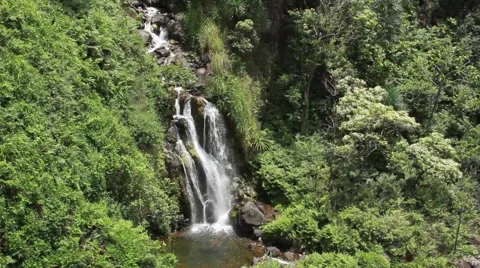 Waterfall in Hawaii  Video stock 44881465