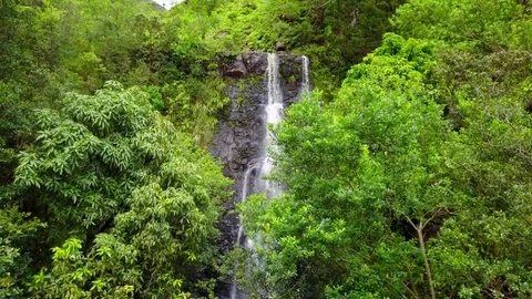 Waterfall in Hawaii Vidéo 76893943