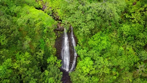 Waterfall in Hawaii Vidéo 76893947