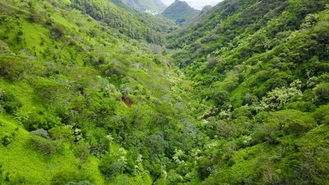 Waterfall in Hawaii Stockbeeldmateriaal 76893969