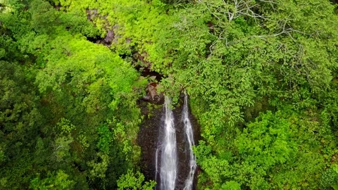 Waterfall in Hawaii Vidéo 76894020