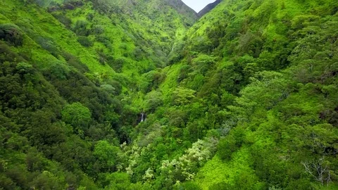 Waterfall in Hawaii Vidéo 76894034