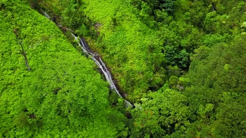 Waterfall in Hawaii Stockbeeldmateriaal 76894045