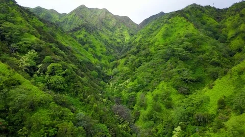 Waterfall in Hawaii 스톡 동영상 76894071