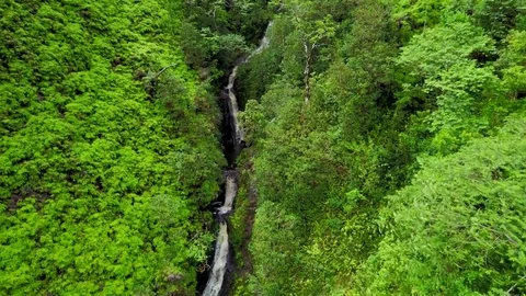 Waterfall in Hawaii Stockbeeldmateriaal 76894091