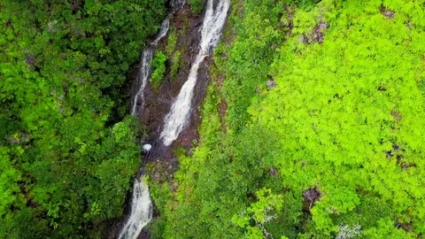 Waterfall in Hawaii 스톡 동영상 76894109