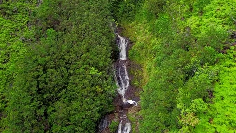 Waterfall in Hawaii Vidéo 76894114