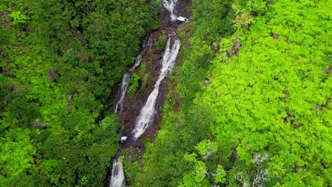 Waterfall in Hawaii Stockbeeldmateriaal 76894120