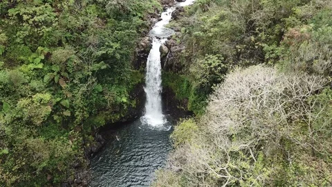Waterfall in Hawaii Stock Footage 88746351