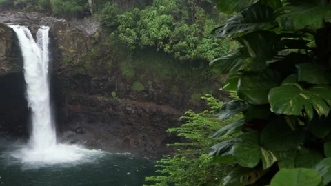 Waterfall in Hawaii Video stock 313143187