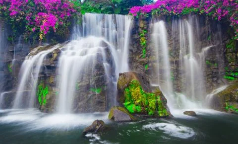Waterfall in hawaii Stock Photos