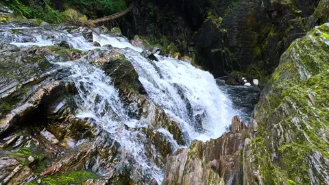 Waterfall in The Hermitage Forest Vídeos de archivo 305437746