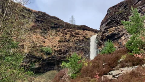 Waterfall hidden behind trees. Stock-Footage 237953717