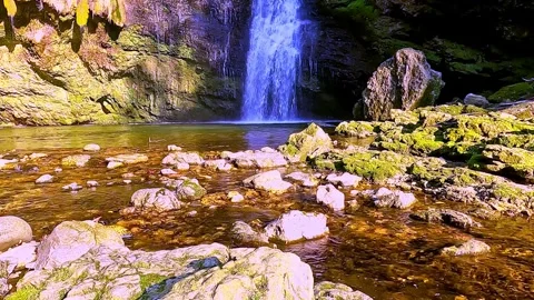 A waterfall hidden in the forest Stock Footage 317553856