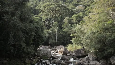 A waterfall hidden in the rainforest 2 Stock Footage 169082641