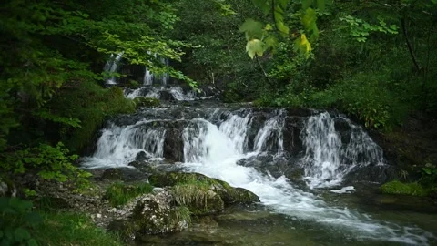 A waterfall hidden in the summer forest with a beautiful mountain stream Stock Footage 260934267