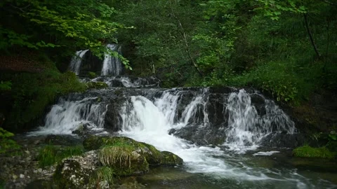 A waterfall hidden in the summer forest with a beautiful mountain stream Video stock 260934529