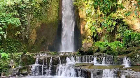 Waterfall hidden in tropical rainforest jungle, falling water hitting water Stock Footage 276473183
