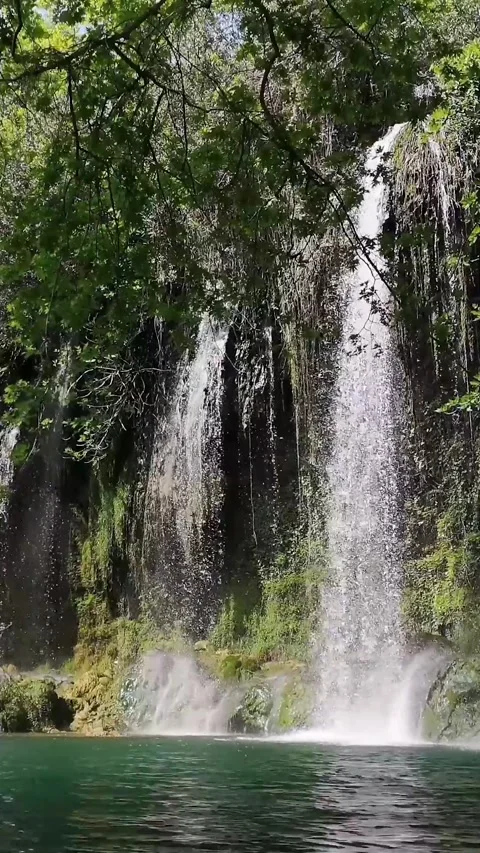 Waterfall hidden in tropical rainforest jungle vertical video footage Stock Footage 281948971