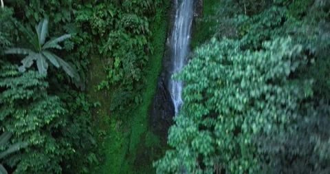 Waterfall in high altitude forest mountain landscape Stock Footage 323672357