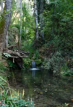 Waterfall in a high mountain stream Foto stock
