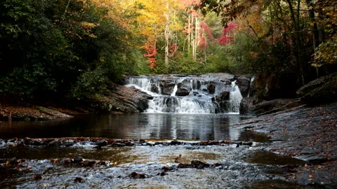 Waterfall highlighted by beautiful fall foliage. Stock Footage 219436713
