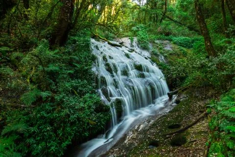 Waterfall in hill evergreen forest of Doi Inthanon, Chiang Mai, Thailand Stock Photos