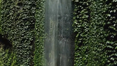 WATERFALL ON HILLSIDE Stock Footage 242643023