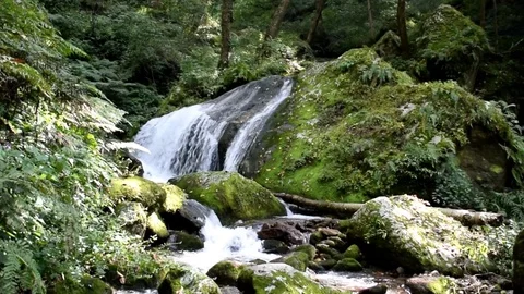Waterfall in Himalayan national park Stock Footage