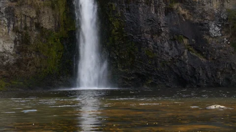 Waterfall - Hunua Ranges Video stock 38048926
