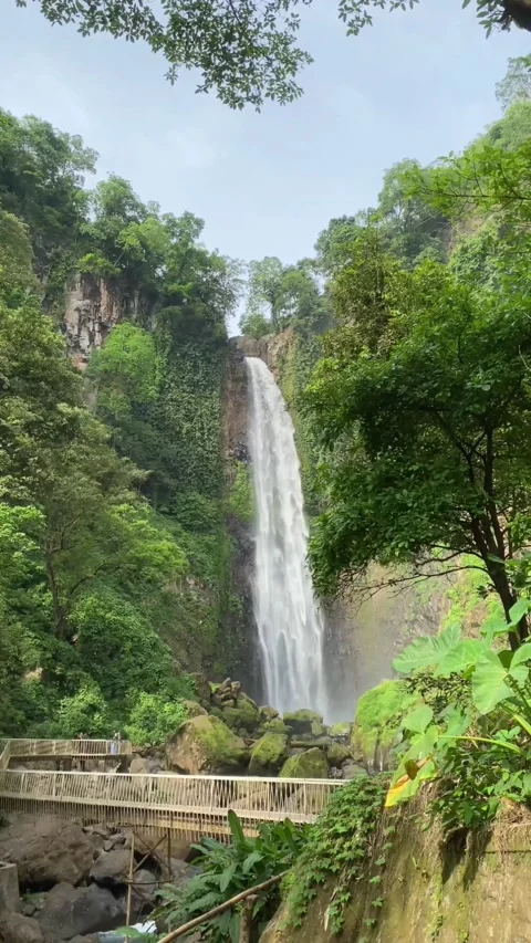 Waterfall Indonesia Stock-Footage 233149233