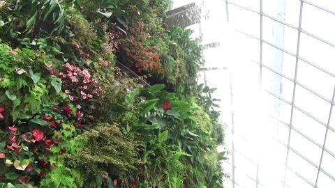 Waterfall inside Cloudforest, Gardens by the Bay, Singapore Stock Footage 130706936