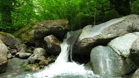 Waterfall, İnside The Forest, Colors Of Nature, Some Huge Rocks Stock Footage