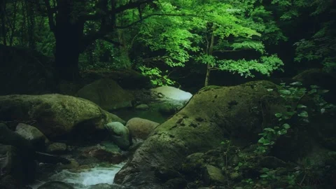 Waterfall, İnside The Forest, Dark Forest, Mysterious Waters, Some Huge Rocks Stock Footage