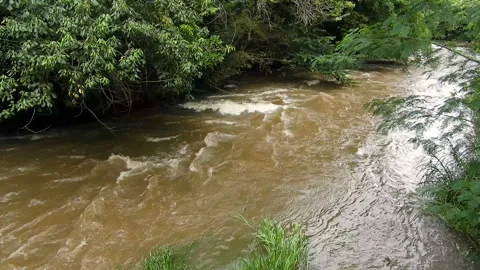 Waterfall in Jacare Pepira River Stock Footage 109317396