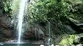 Waterfall in jungle 20110426 143048 HD Footage